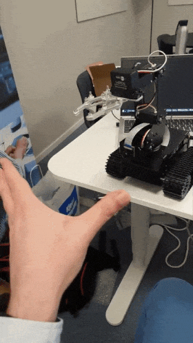 Demo of the robot control using image classification