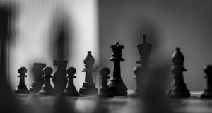 Black and white chess pieces on a blurred background.